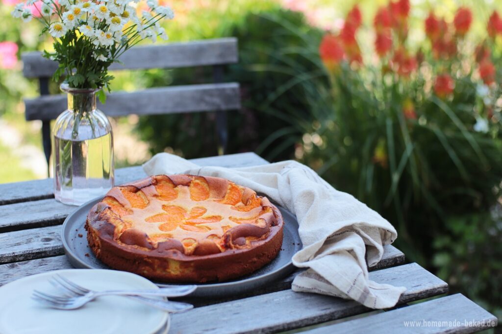 grieß käsekuchen ohne boden mit mandarinen 