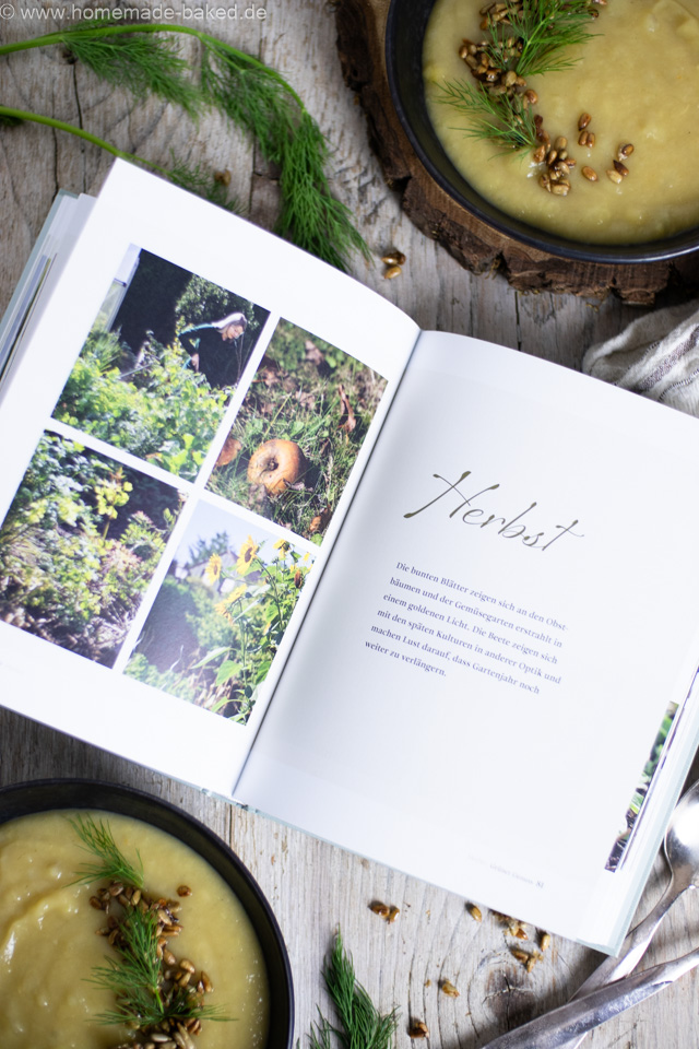 Kohlrabisuppe mit gerösteten Sonnenblumenkernen - aus dem Buch "Grüner Genuss"