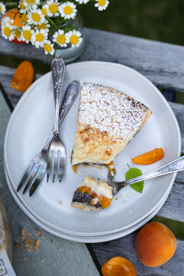 Mohn Streusel Käsekuchen mit Aprikosen – einfach, saftig und fruchtig