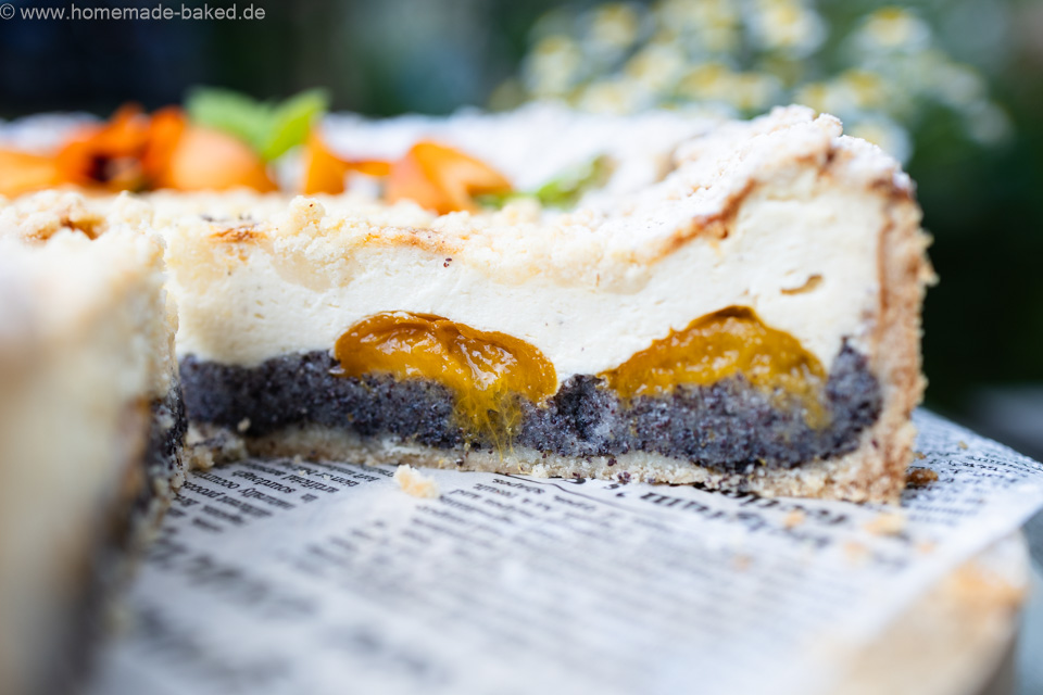 Mohn Streusel Käsekuchen mit Aprikosen – einfach, saftig und fruchtig