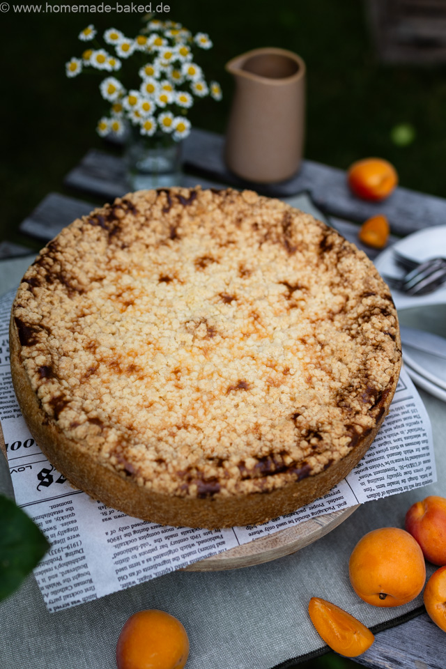 Mohn Streusel Käsekuchen mit Aprikosen – einfach, saftig und fruchtig