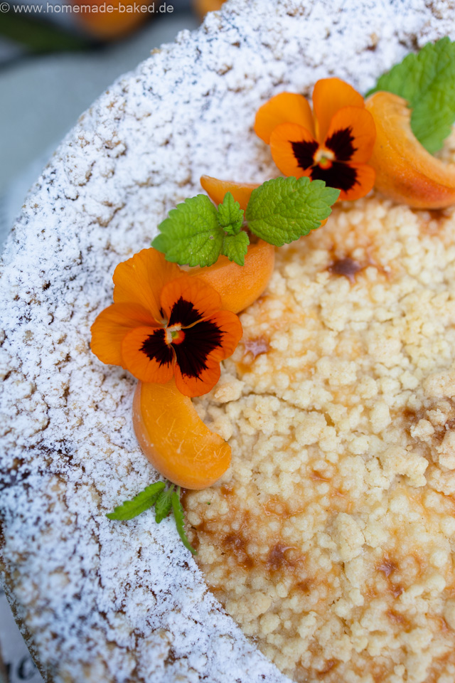 Mohn Streusel Käsekuchen mit Aprikosen – einfach, saftig und fruchtig