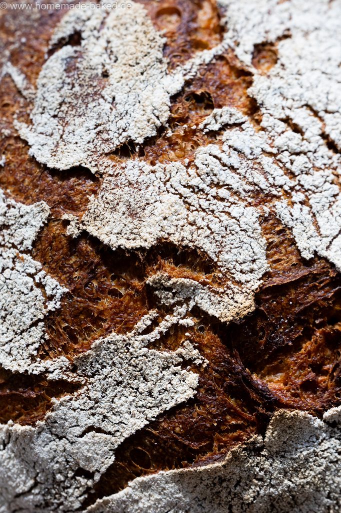 Kruste von einem Kürbis-Sauertigbrot Nahaufnahme